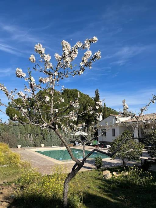 Casa Galiana. Villa Arges Luaran gambar
